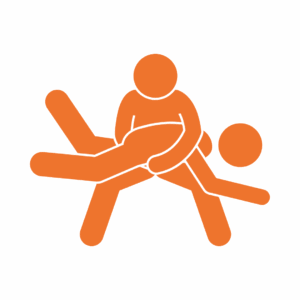 Ikona sportów walki